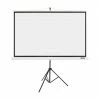 Beamerleinwände Acer T82-W01MW, Stativleinwand (Stativ Leinwand 82,5" 16:10) -Beamer Zubehör Verkaufsladen Acer T82 W01MW Stativleinwand@@eesr03