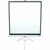 Beamerleinwände EliteScreens Tripod, Stativleinwand (weiß, 99", 1:1, MaxWhite) -Beamer Zubehör Verkaufsladen EliteScreens Tripod Stativleinwand@@eevc38