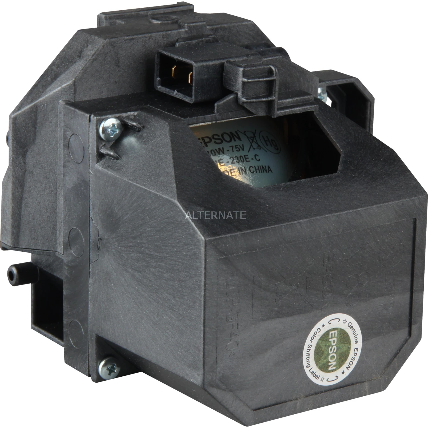 Beamerlampen Epson Ersatzlampe ELPLP53, Beamer-Ersatzlampe 5 Beamerlampen Epson Ersatzlampe ELPLP53, Beamer-Ersatzlampe – Bild 3